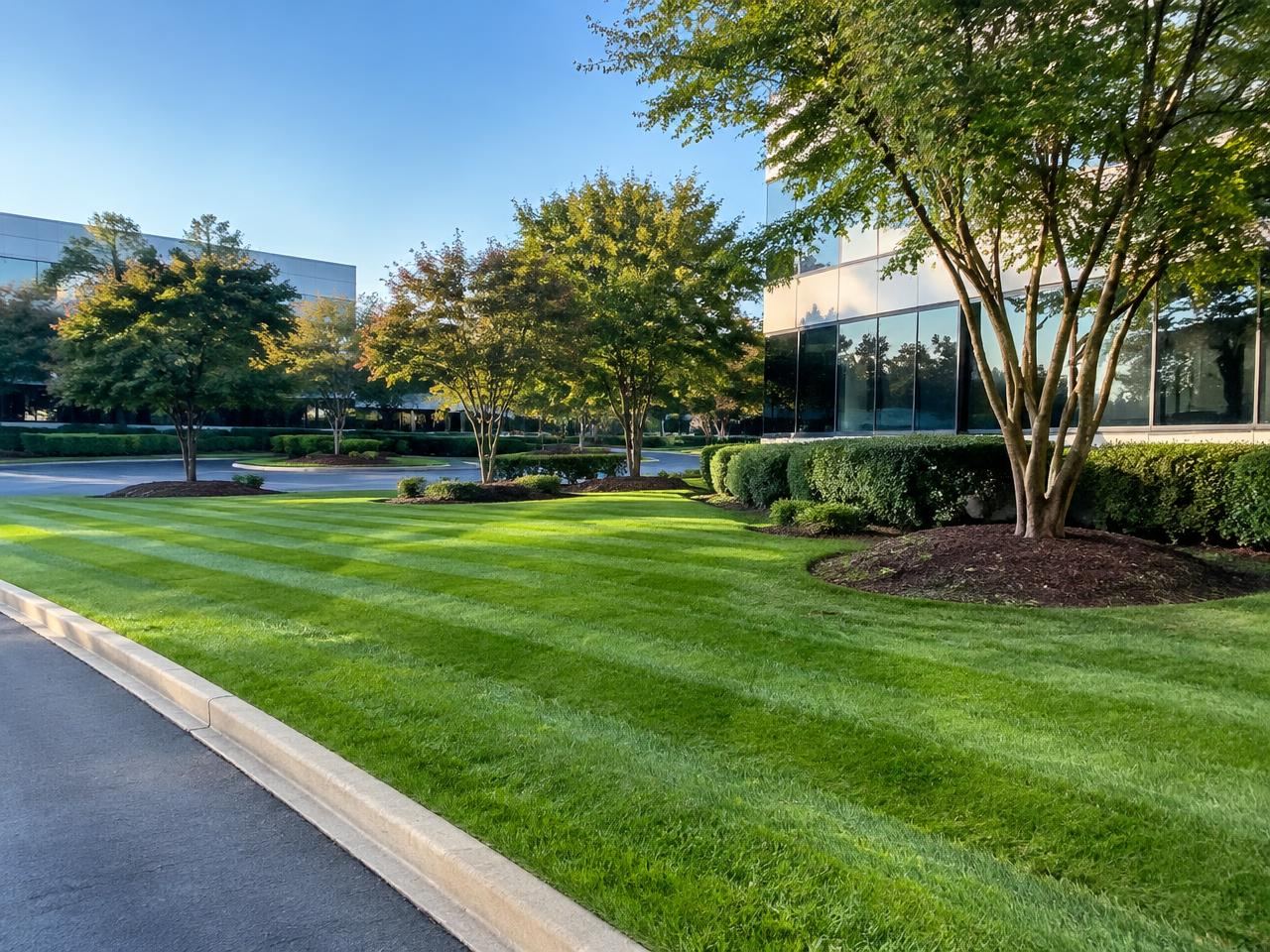 Striped mowed turf, edged curbs and mulched tree rings at an office park